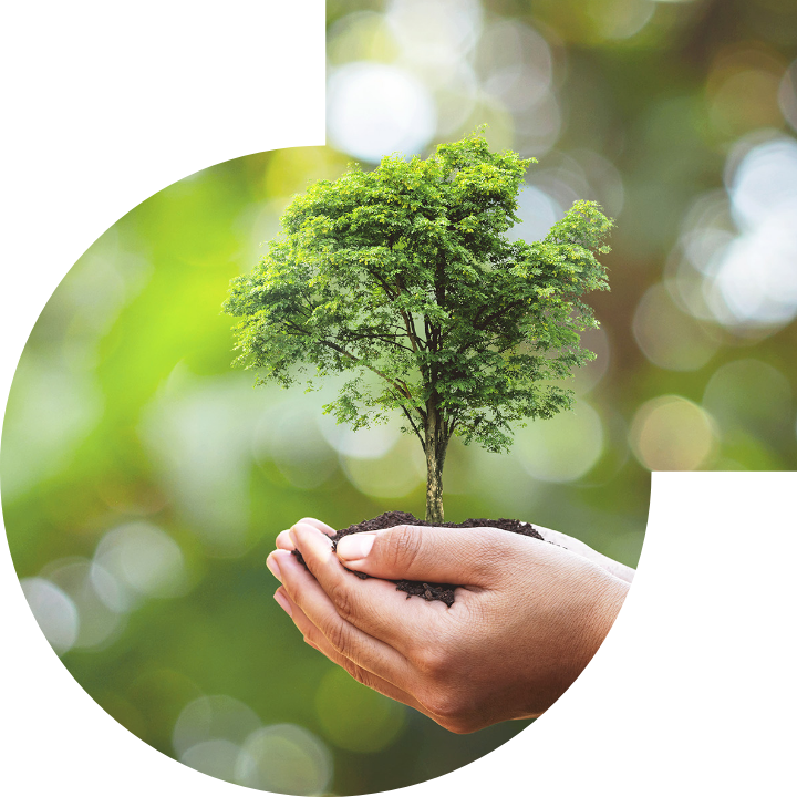 關懷人類、文化、環境與社會